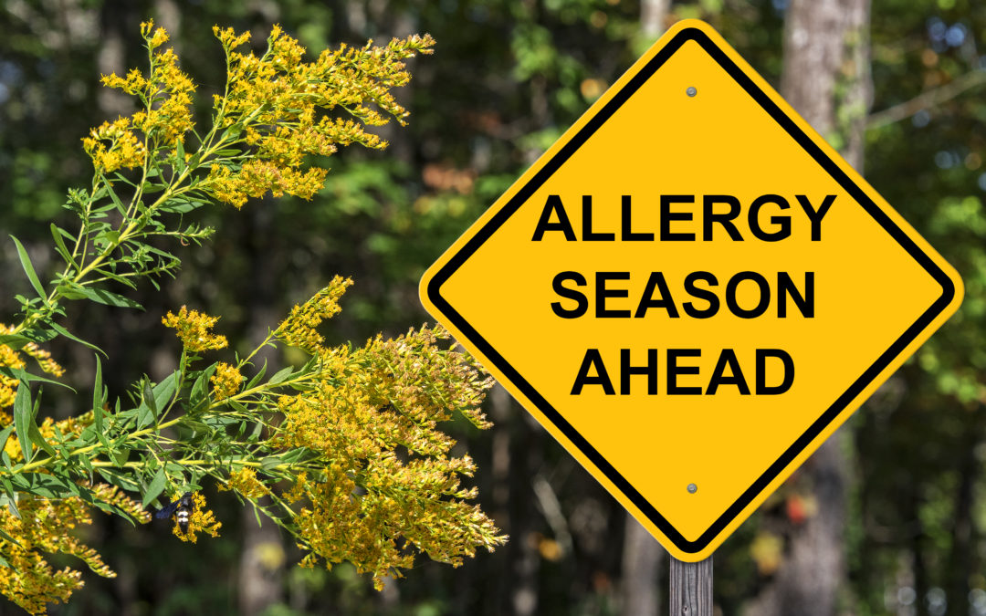 Allergy Symptoms – 5 Tips to Minimize Symptoms at Home