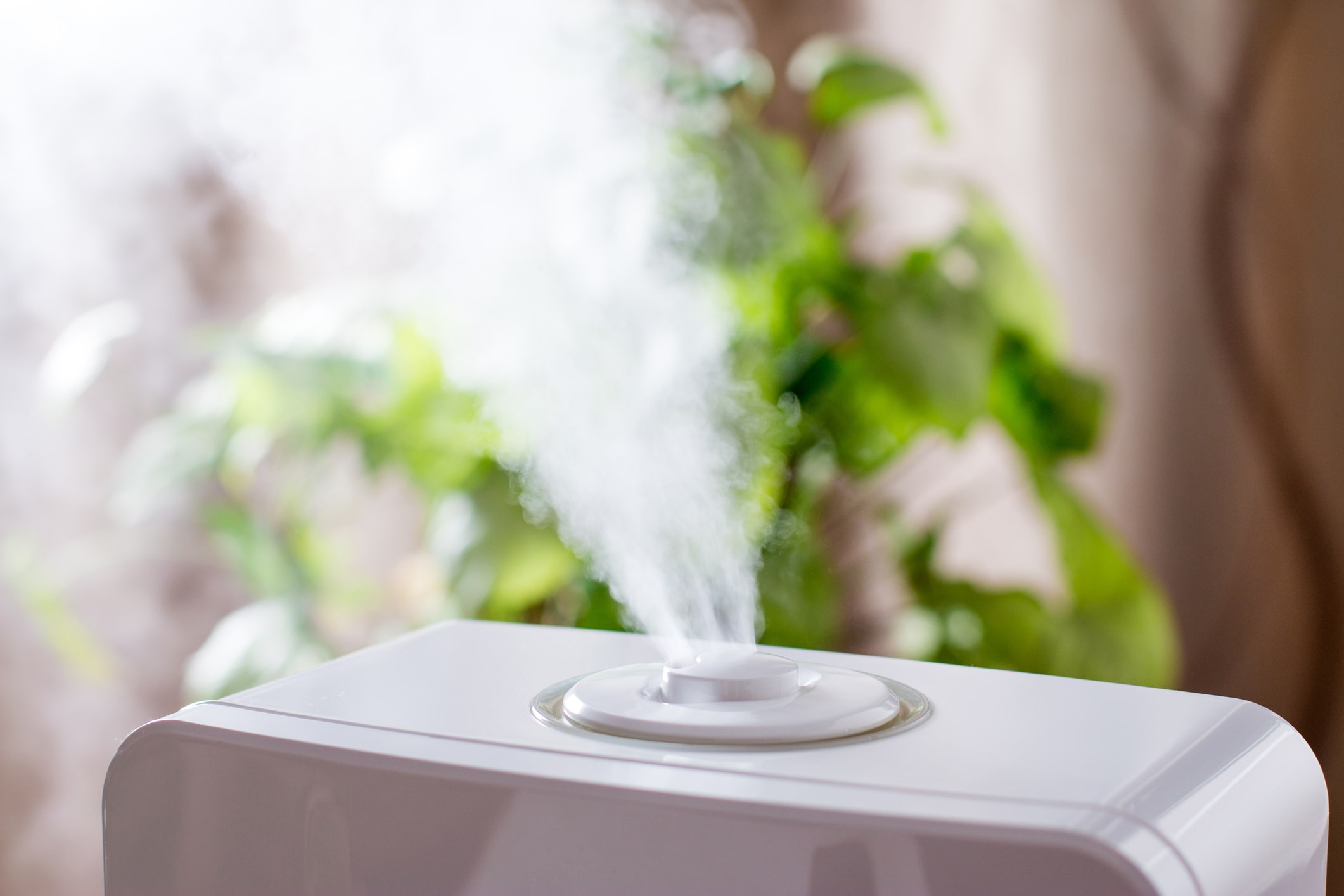 Indoor Humidity and What Can be Done About It