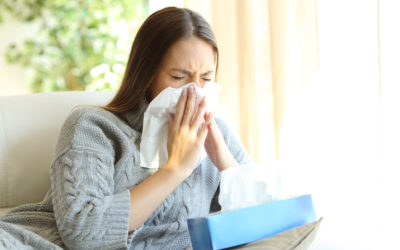 Filters that Can Improve Your Allergies this Year